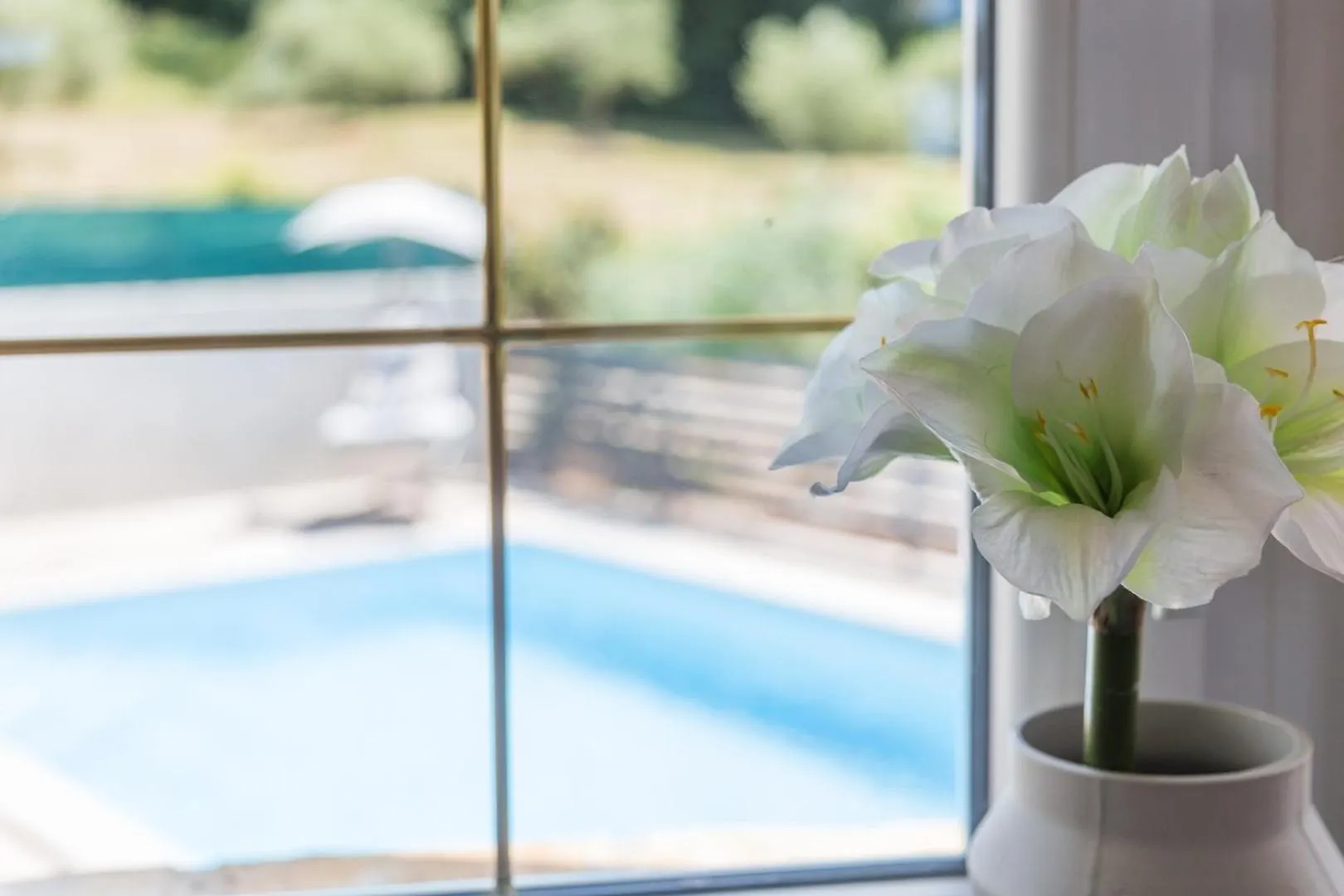 Villa Aria Private Pool Near Vrsar 0*,